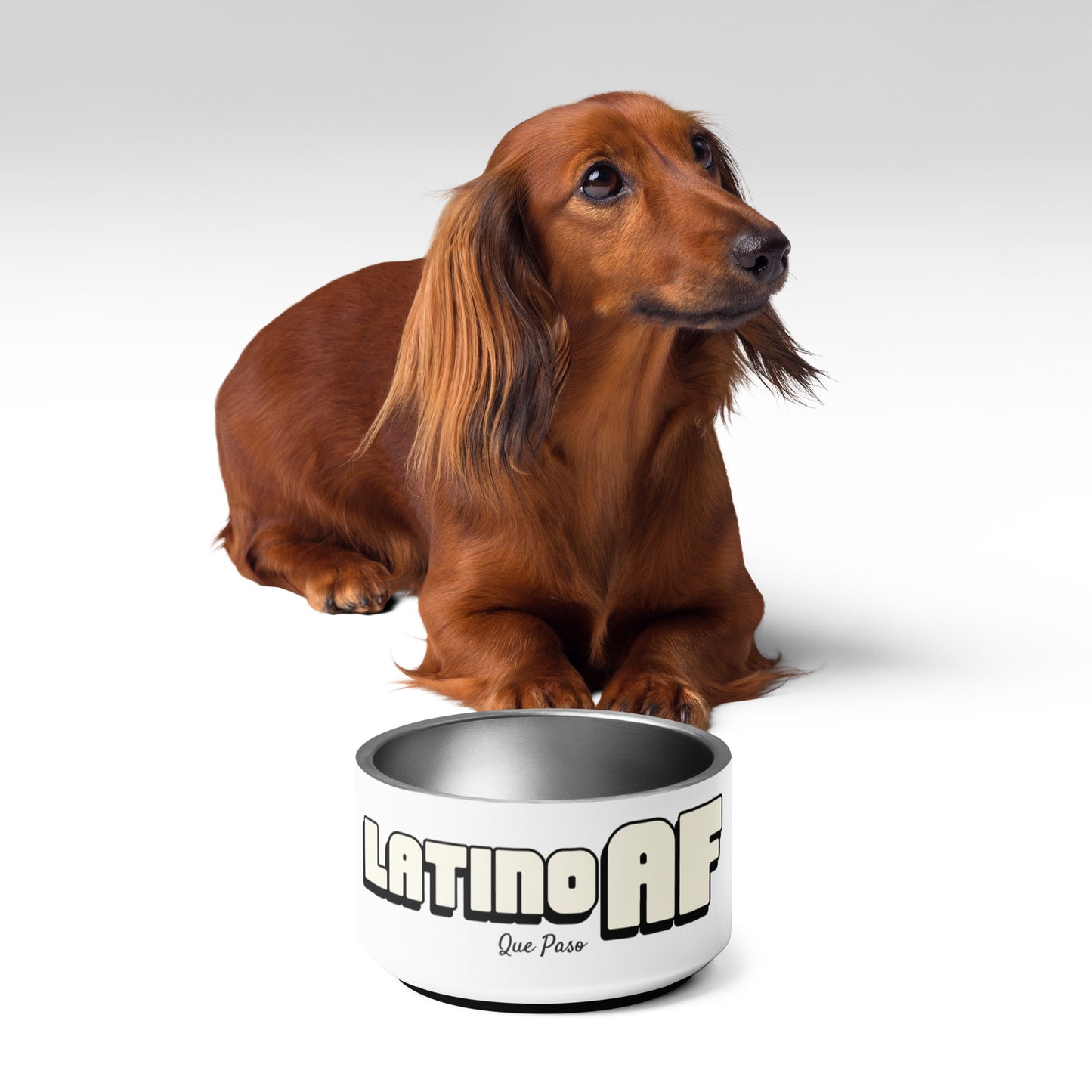 LatinoAF Pet bowl
