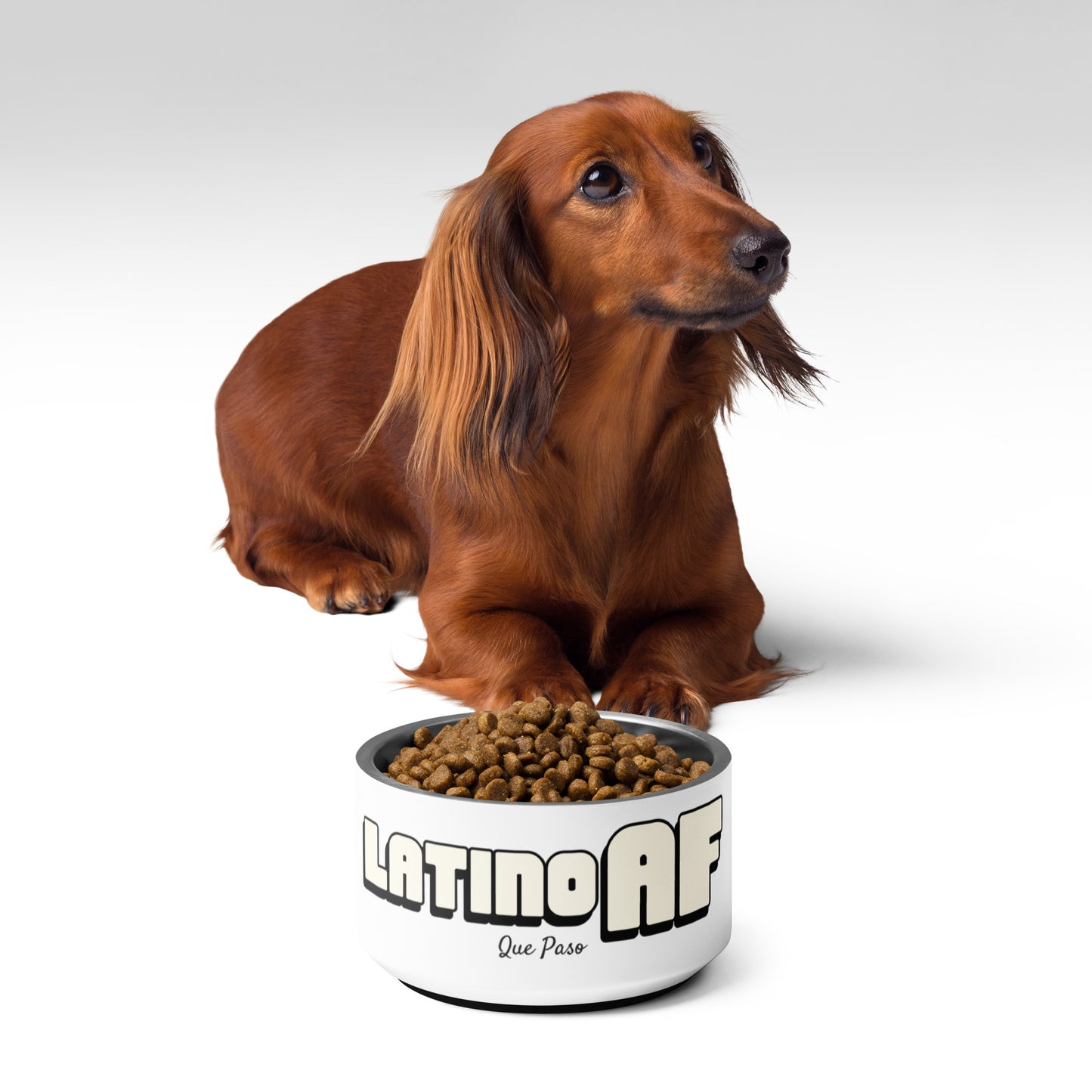 LatinoAF Pet bowl