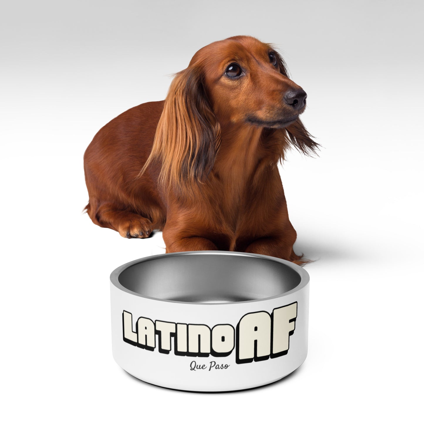 LatinoAF Pet bowl