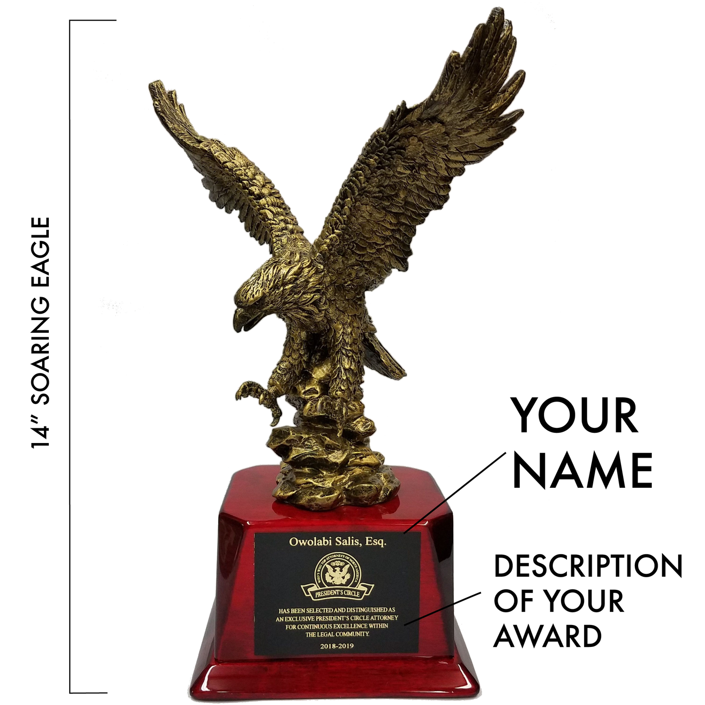 Eagle of Distinction | 14" Eagle on Rosewood Base